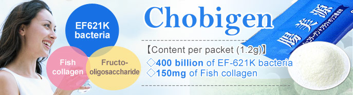 Lactococcus lactis containing food“Chobigen”