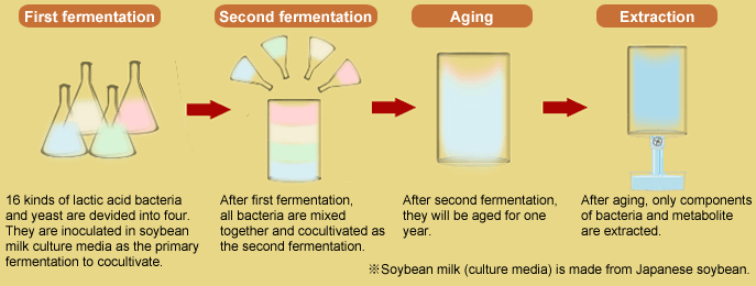 Manufacturing process of Lactic acid bacteria-producing component