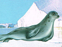 Seal Oil