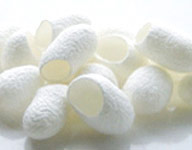 Silk fibroin