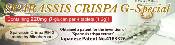 SPARASSIS CRISPA  G-Special