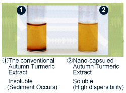 Nano-capsule